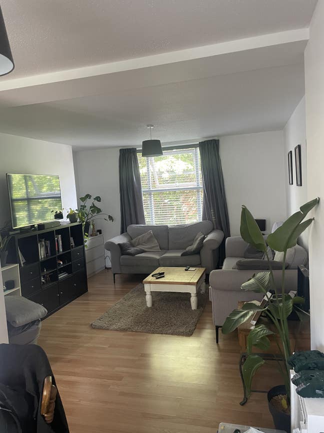 Room to rent in flat in L8 Main Photo