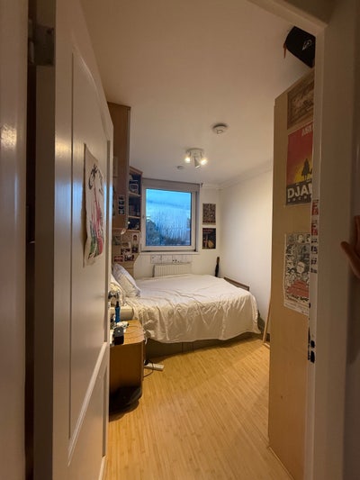 Cosy room in an all girl sociable flat  Main Photo