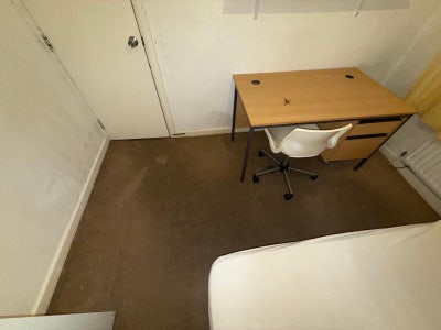 Single room available near college lane campus Main Photo