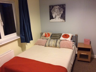 The Ideal Homeshare for Professionals 🏠  Main Photo