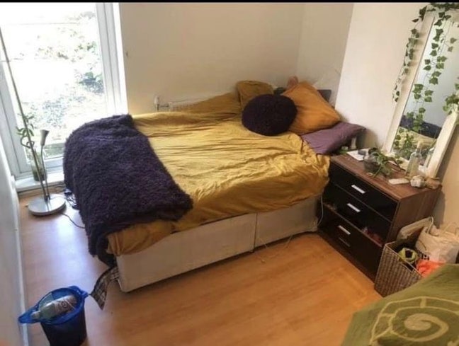 One More Room Has Just Become Available!!! Main Photo