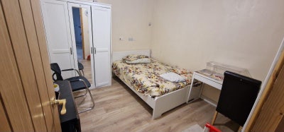 ** Brand New Studio's In Seven King's **** Main Photo