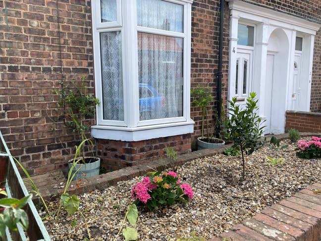 Lovely Room in Recently Renovated House  Main Photo