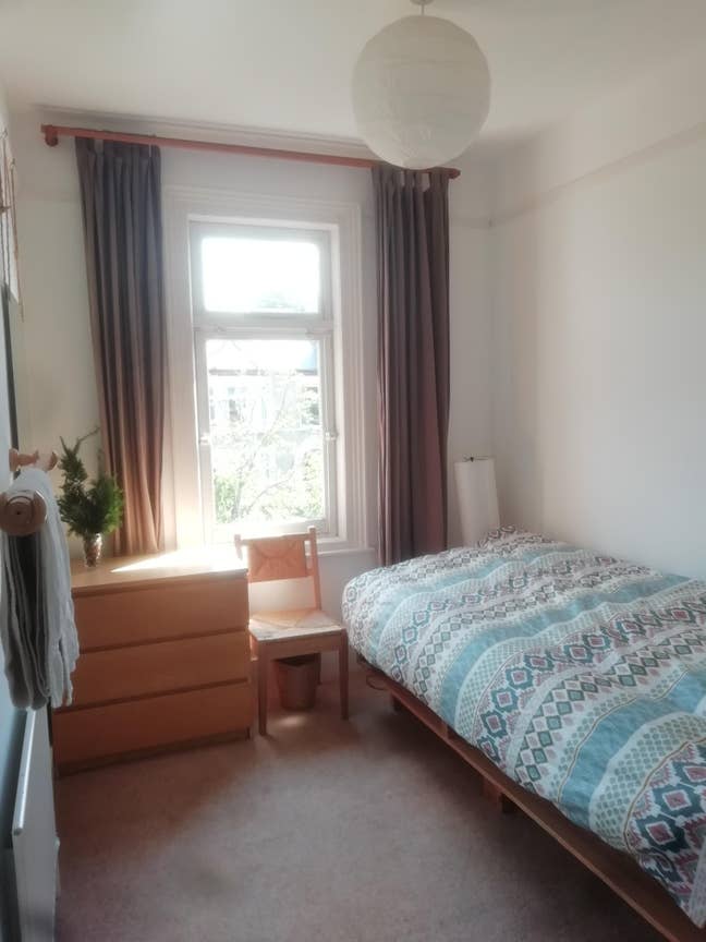 Lovely single bedroom in a friendly home. Main Photo