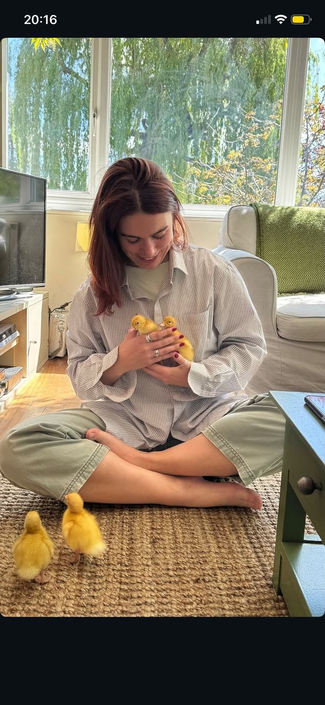Looking for a friendly flat and room in London :)  Main Photo