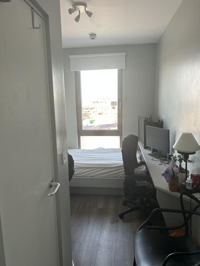 Studio near Willesden Junction + North Acton Main Photo
