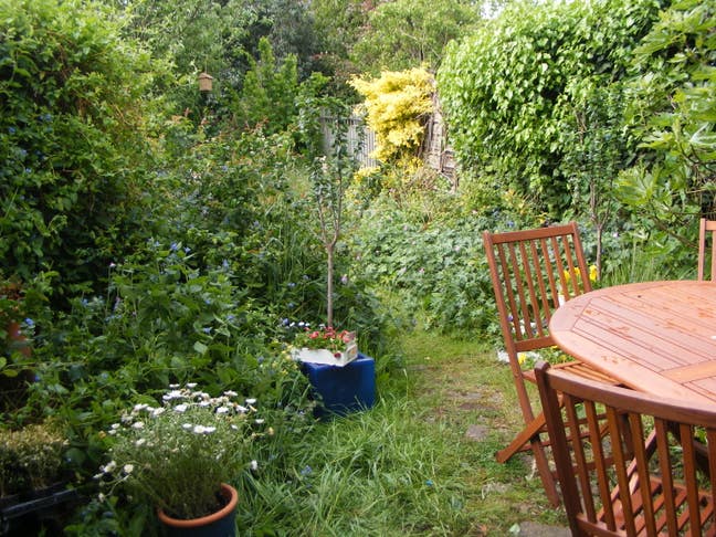 Lovely 3 bed house by the river Main Photo