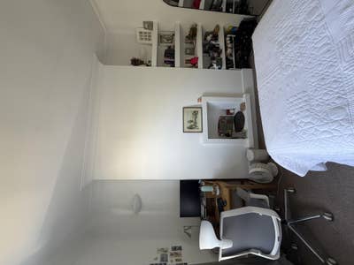 Double room in Stoke Newington flat  Main Photo
