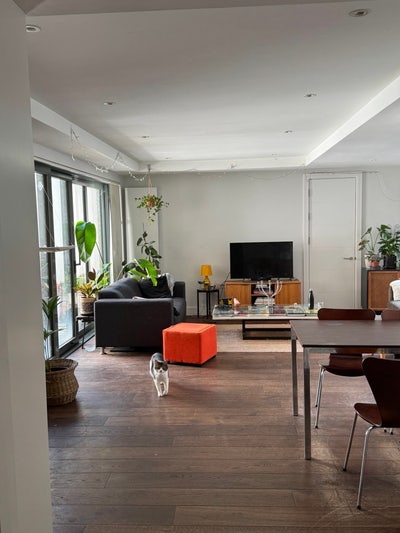 Spacious flat just off Newington Green Main Photo