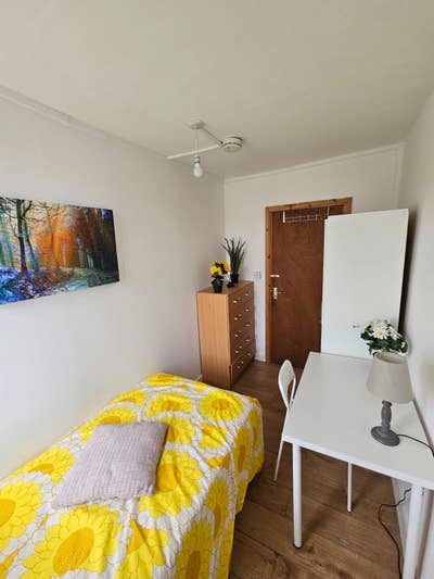 Cozy single room in Wembely Main Photo