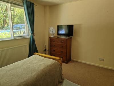 Room available, rural location  Main Photo