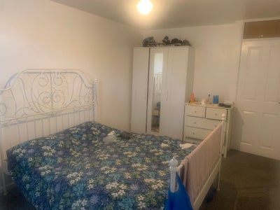 Big Room in Lovely Shared House in Brixton  Main Photo
