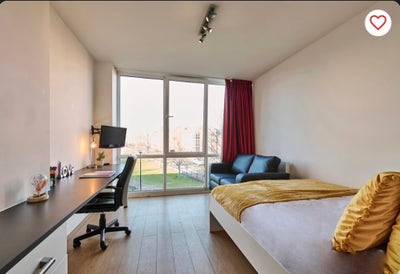 Studio Room Available Upperton Road, Student Roost Main Photo