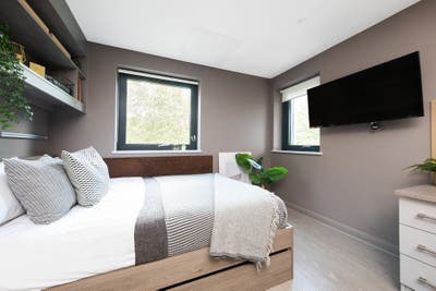 Bronze Studio in Eclipse Student Accom, Cardiff Main Photo