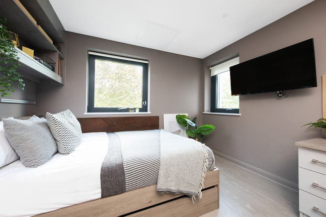 Bronze Studio in Eclipse Student Accom, Cardiff Main Photo
