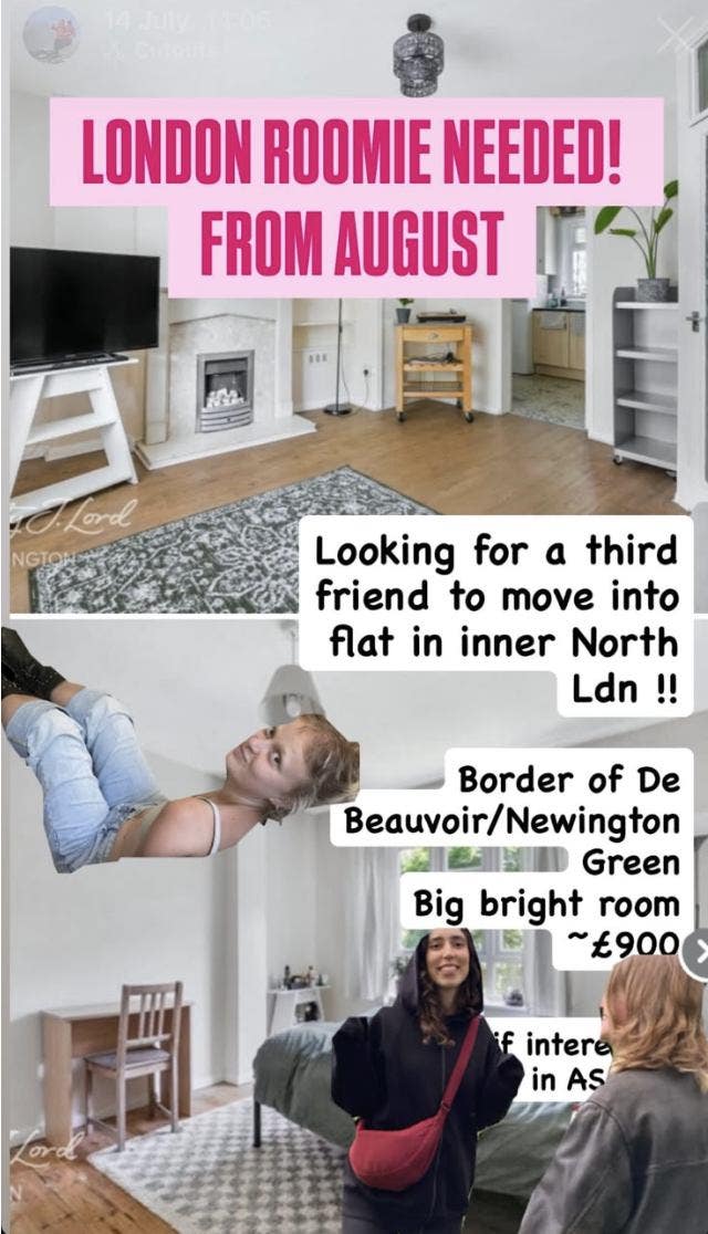 Lookin for New Friend to Join Our House in Stokey! Main Photo