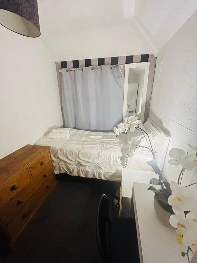 Cozy comfy Room Main Photo