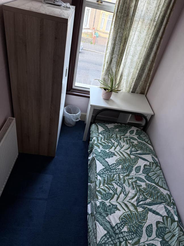 Single room for female in a big house Main Photo