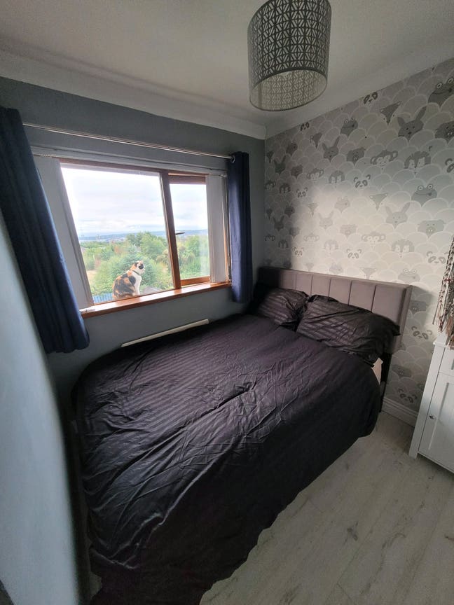 Cozy Room with Beautiful Views Main Photo