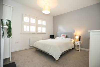 White Rose Cottage - 2 bed student home  Main Photo