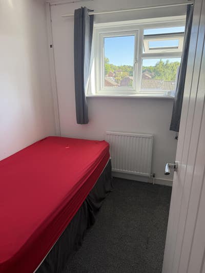 Double room available  Main Photo