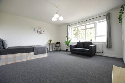** Extra Large Room - 2 mins Willesden Green ** Main Photo