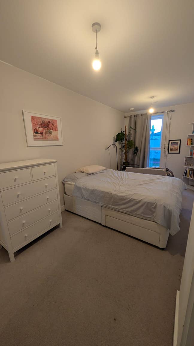 Lovely double room + own bathroom + two cats Main Photo