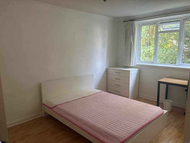 Bright roomy double in cute + tidy flat with 39yo Main Photo