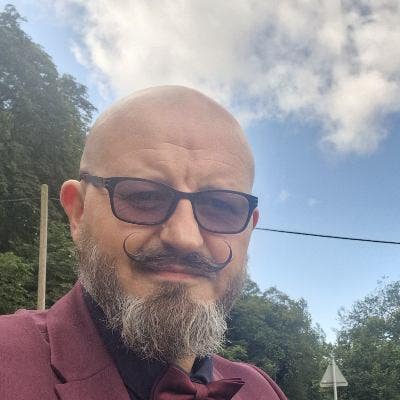 Friendly professional looking for a long-term home Main Photo