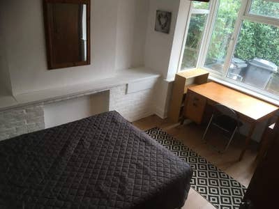 Large Double Room in Winton Main Photo
