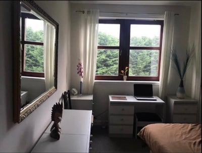A Room Westend near Dundee university  Main Photo