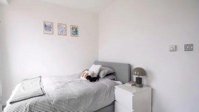 Double room available Main Photo