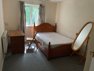 Double room in South Cambridge  Main Photo