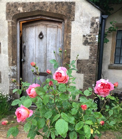 Double bedroom in country cottage near Bridport Main Photo