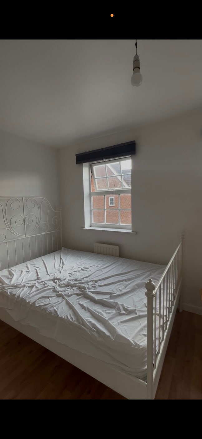 Single Room Available in Hatfield  Main Photo