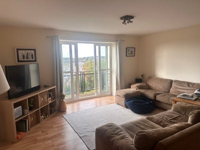 Large Furnished Double Room in Modern Bedford Flat Main Photo