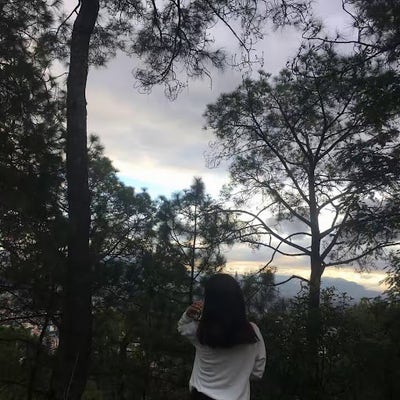 21 year old Female seeks a single or double room Main Photo