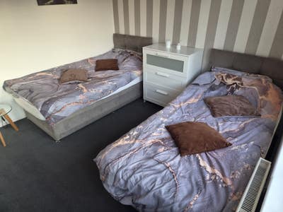 Single room for rent Main Photo