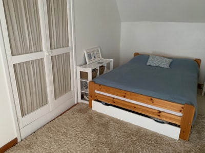 Double or Single room available  Main Photo