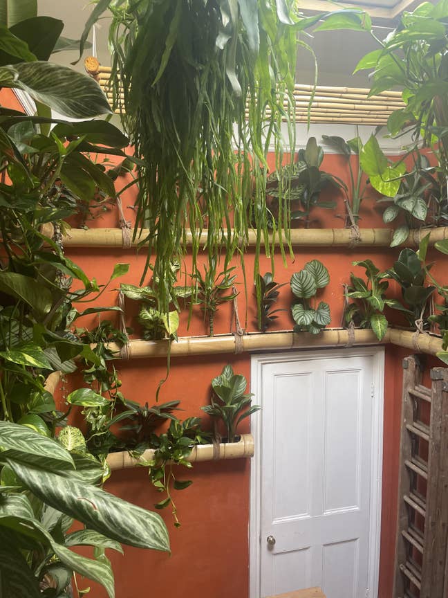 Room in plant filled shared house in Montpellier  Main Photo