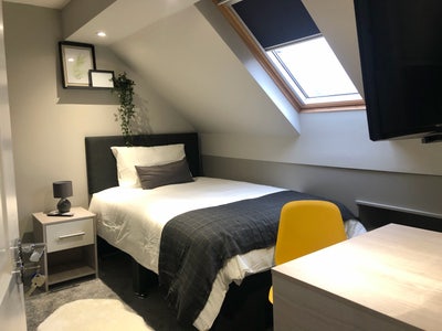 Professional House Share Main Photo