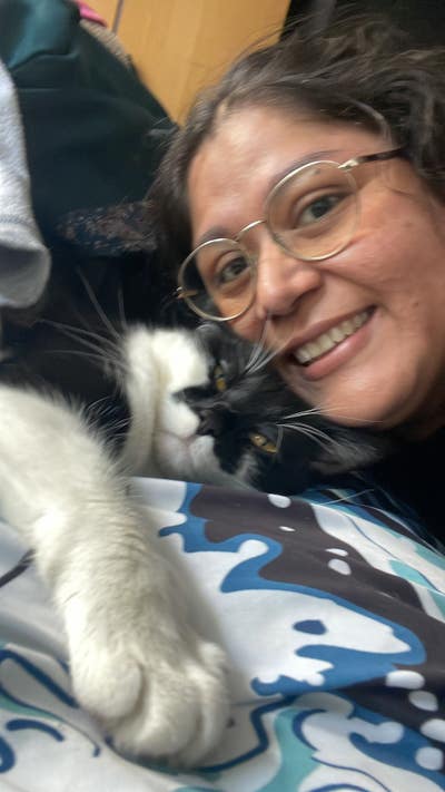 Professional woman looking for a quiet, pet-friend Main Photo