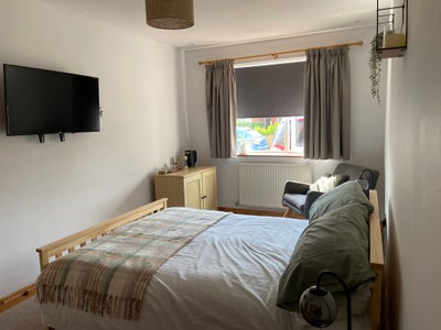 Cosy double room to let  Main Photo