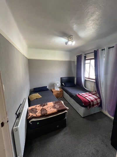 3 bedroom house fully carpeted  Main Photo
