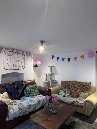 Friendly Flatmate wanted for Harborne House! Main Photo