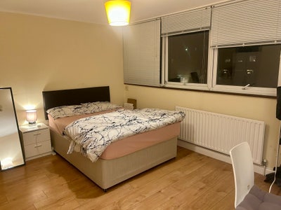One Double bedroom near Willesden Green  Main Photo