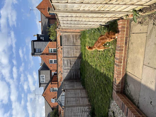 House Share Close to Reading Main Photo