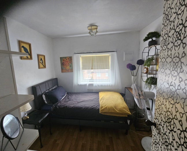 Single room to rent must like animals  Main Photo