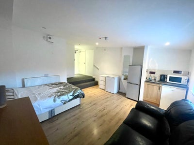 Professionals Wanted! Central Wednesbury Studios Main Photo