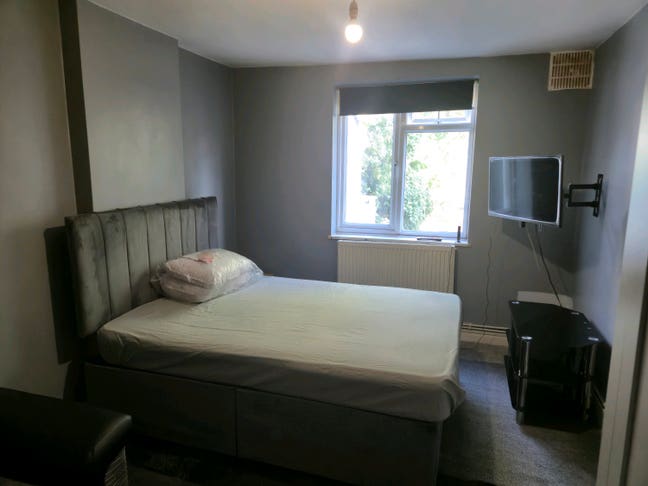 Spacious double room in garden flat 20-28th Aug Main Photo